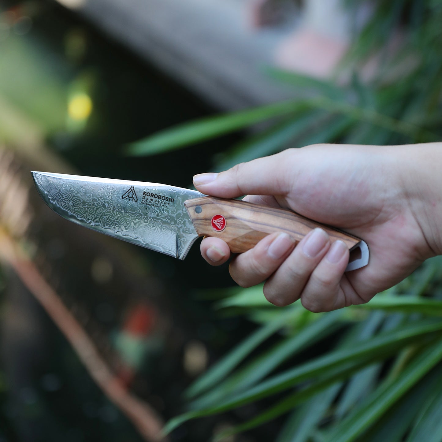 Olive Wood Outdoor Knife