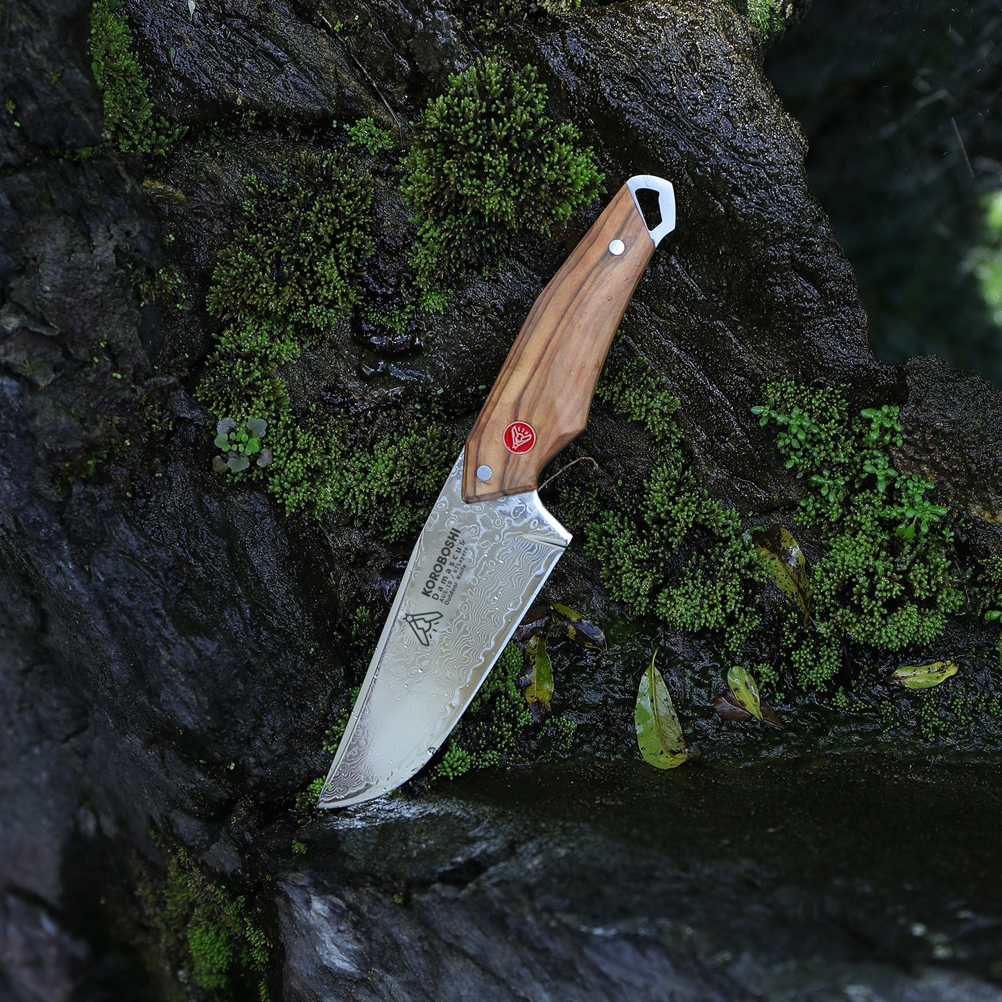 Olive Wood Outdoor Knife