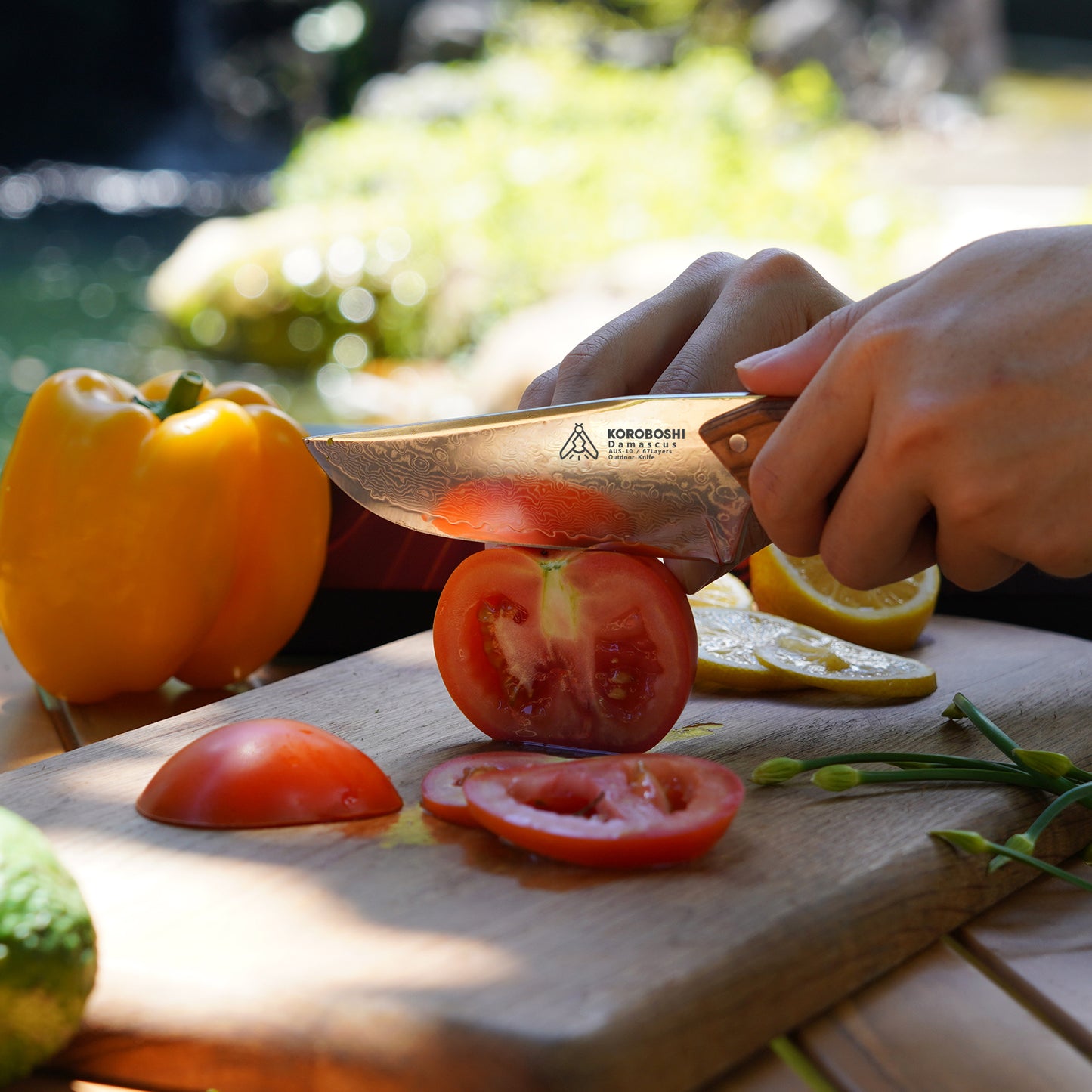 Olive Wood Outdoor Knife